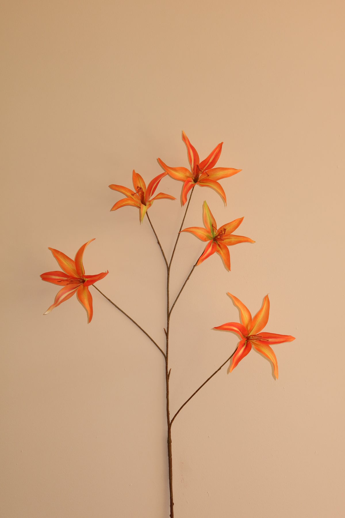 Mae oranje — zijden kunstbloem