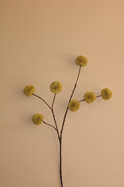 Pompom Julie groen