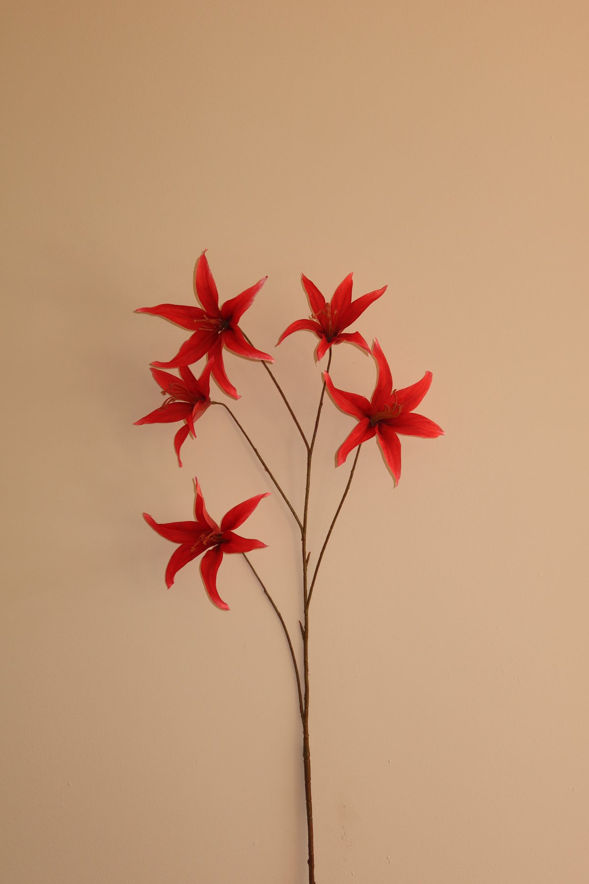 Mae rood — zijden kunstbloem