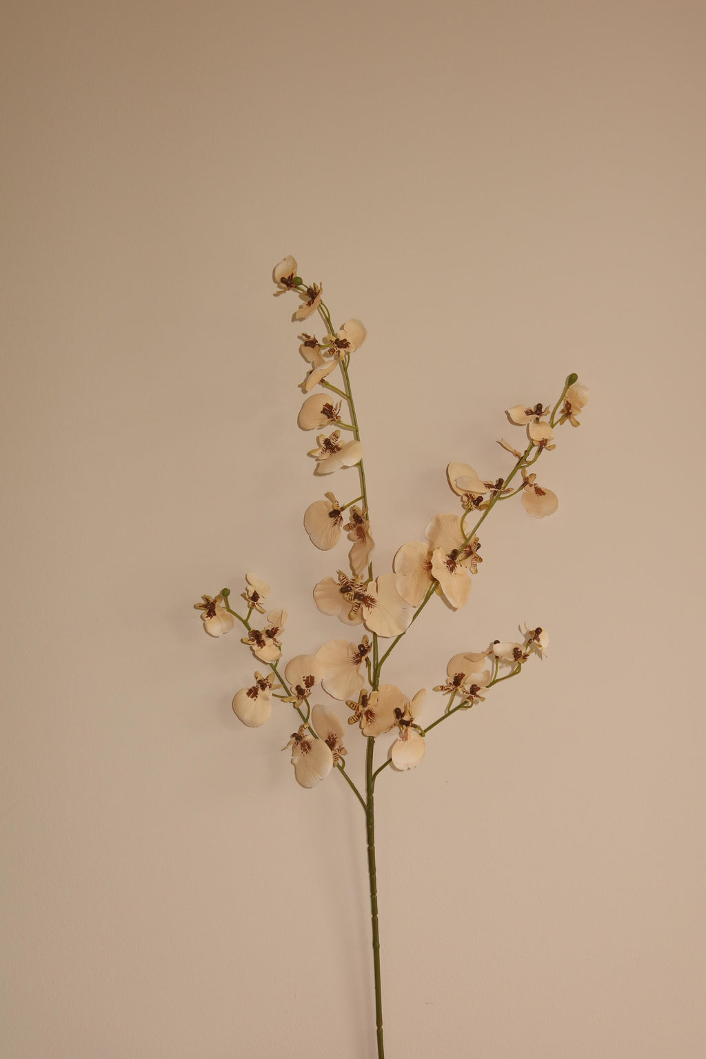 Kunstbloem Rosavita - Beige
