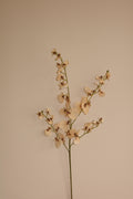 Kunstbloem Rosavita - Beige