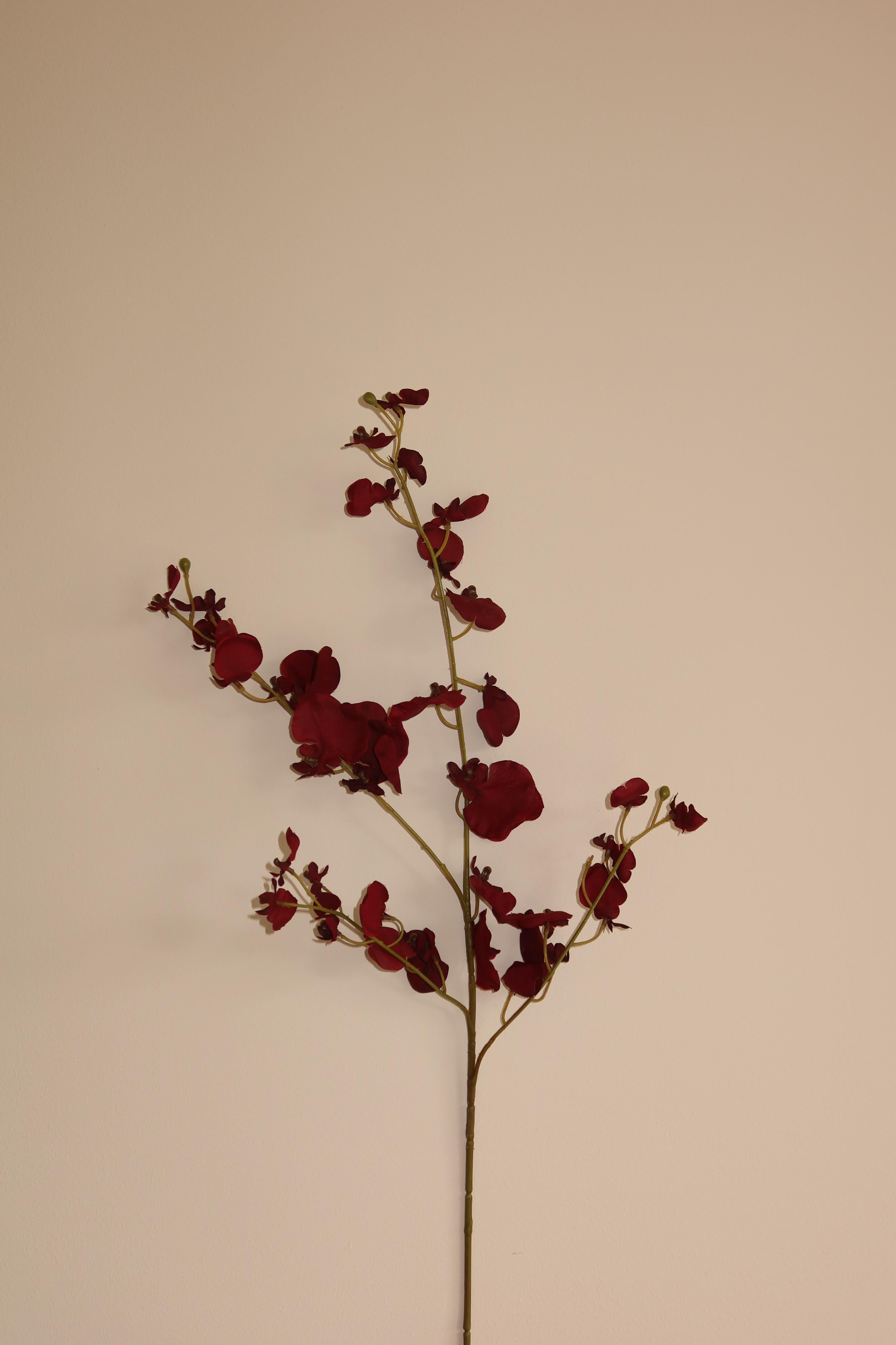 Kunstbloem Rosavita - Burgundy