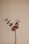 Kunstbloem Rosaline - Rood